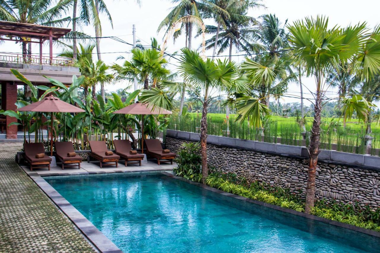 Paon Desa Ubud Kültér fotó